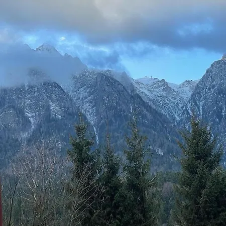 Vila Cantacuzino Buşteni Esterno foto
